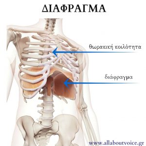 All About Voice Μαθήματα φωνητικής, ορθοφωνίας, τραγουδιού Αθήνα και online